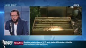 La récolte de miel va être catastrophique cette année
