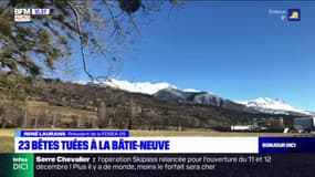 Hautes-Alpes: 23 bêtes tuées à la Bâtie-Neuve