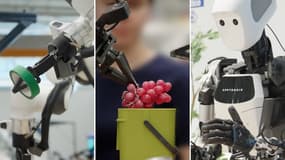 Grâce aux nouveaux modèles de Deepmind, des robots peuvent réaliser des tâches complexes.