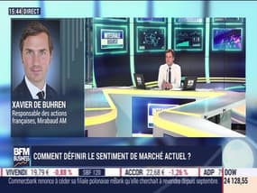 Xavier de Buhren (Mirabaud Asset Management) : comment définir le sentiment de marché actuel ? - 11/05