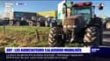 Calais: les agriculteurs manifestent contre les zones de non traitement et réclament une compensation