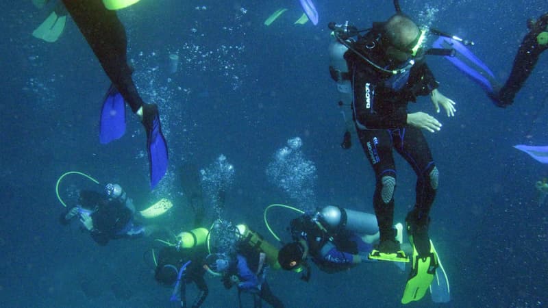 Des plongeurs dans les eaux de Manado, le 16 août 2009. (Photo d'illustration)