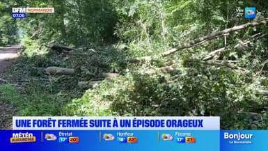 Eure: une partie de la forêt domaniale de Lyons fermée à cause des grosses intempéries