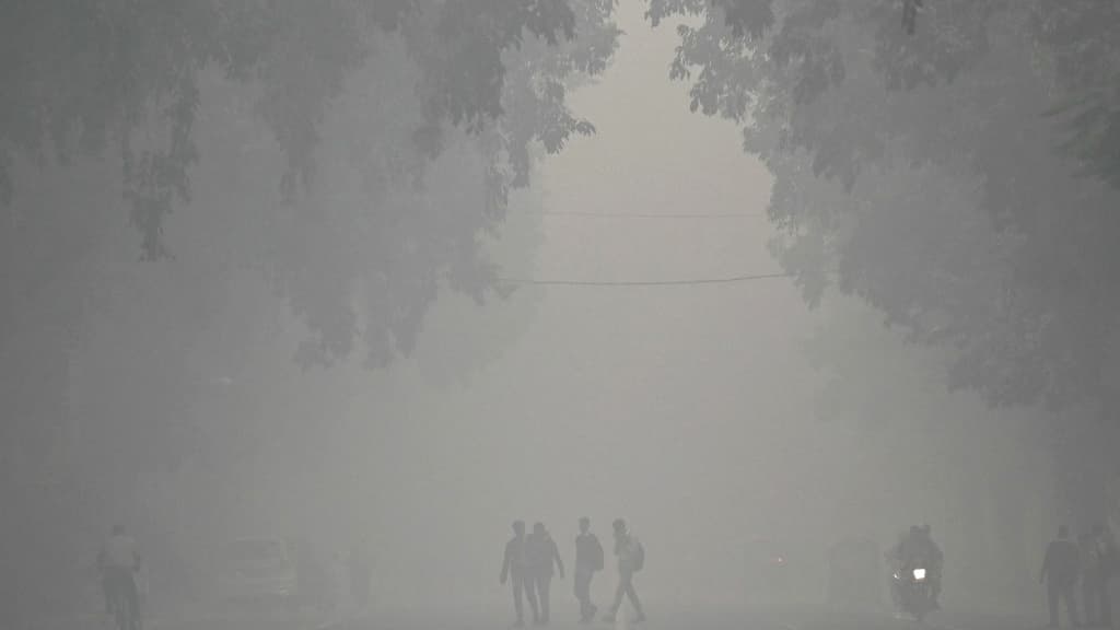 Les conséquences de la pollution atmosphérique en Inde, novembre 2024