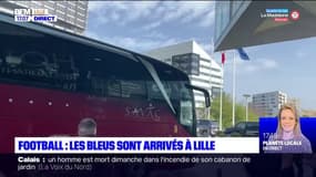 Lille: les Bleus affronteront l'Afrique du Sud ce mardi soir 