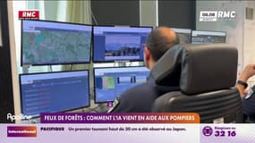 Feux de forêts: comment l'IA vient en aide aux pompiers 