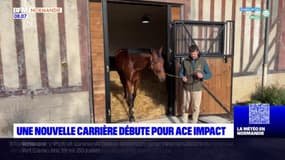 Calvados: une nouvelle carrière débute pour Ace Impact