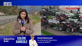 Dermatose nodulaire contagieuse: un nouveau cas détecté dans l'Aude