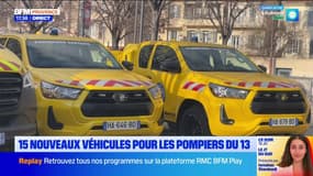 Bouches-du-Rhône: 15 nouveaux véhicules pour les interventions en forêt et dans les espaces naturels