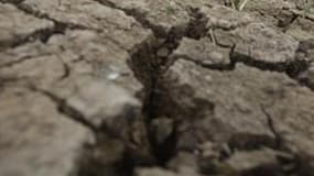 Le lac amazonien de Caapiranga, en période de sécheresse. La Chine a accusé certains pays industrialisés, vendredi à la conférence internationale de Cancun sur le climat mondial, de vouloir la mort du protocole de Kyoto, conclu en 1997. /Photo prise le 4