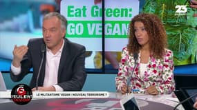 Militantisme vegan violent: “C’est totalement contre-productif pour leur cause”
