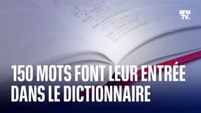  "Se ramiter", "mégabassine", "bader": 150 mots font leur entrée dan le dictionnaire