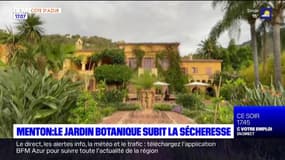 Menton: le jardin botanique subit la sécheresse