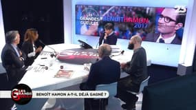 Couac autour de la participation au premier tour de la primaire à gauche: "C'est de la triche"