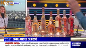 La France, leader de production et de consommation du vin rosé: quels sont les millésimes 2023 ?
