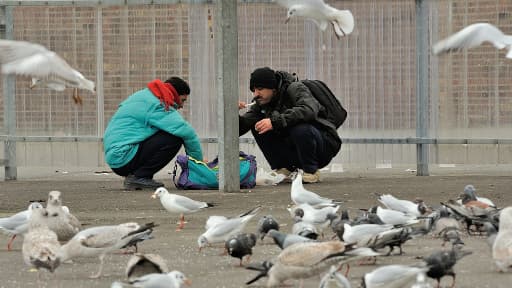 Migrants en train de manger après une distribution de repas, le 28 février 2013 à Calais (photo d'illustration).