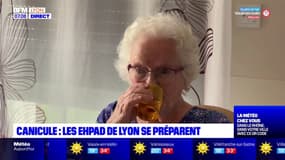 Fortes chaleurs: les Ehpad de Lyon se préparent