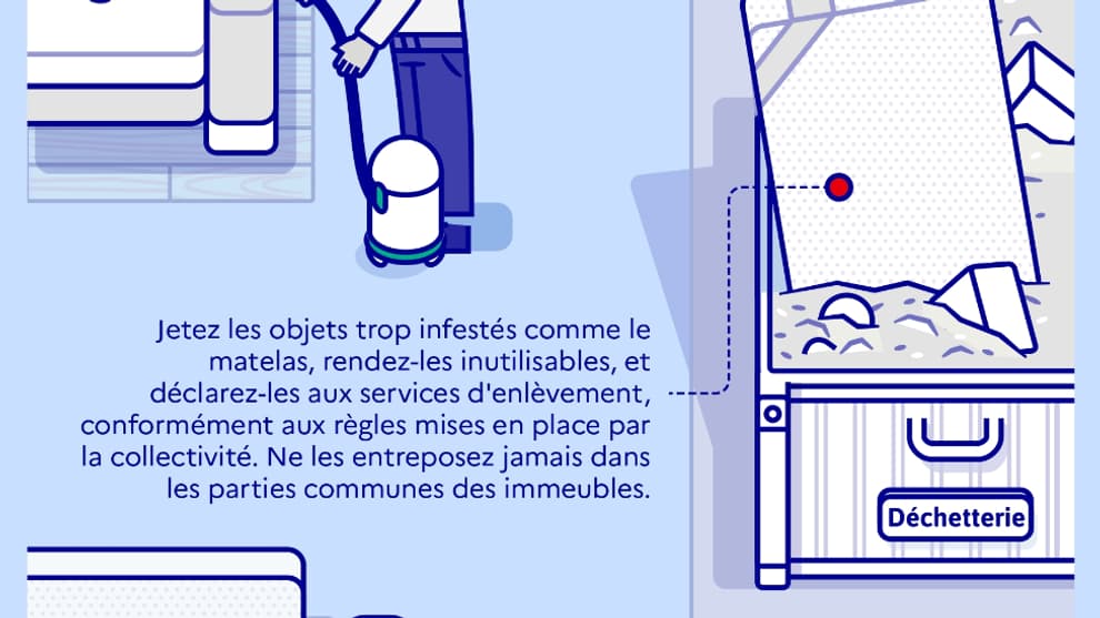 Plan interministériel de lutte contre les punaises de lit Plan interministériel de lutte contre les punaises de lit