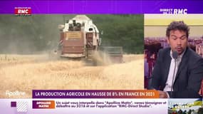 L’info éco/conso du jour de Pierrick Bonno : La production agricole en hausse de 8% en France en 2021 - 08/07