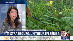 Strasbourg, un tueur en série ? (1/3)