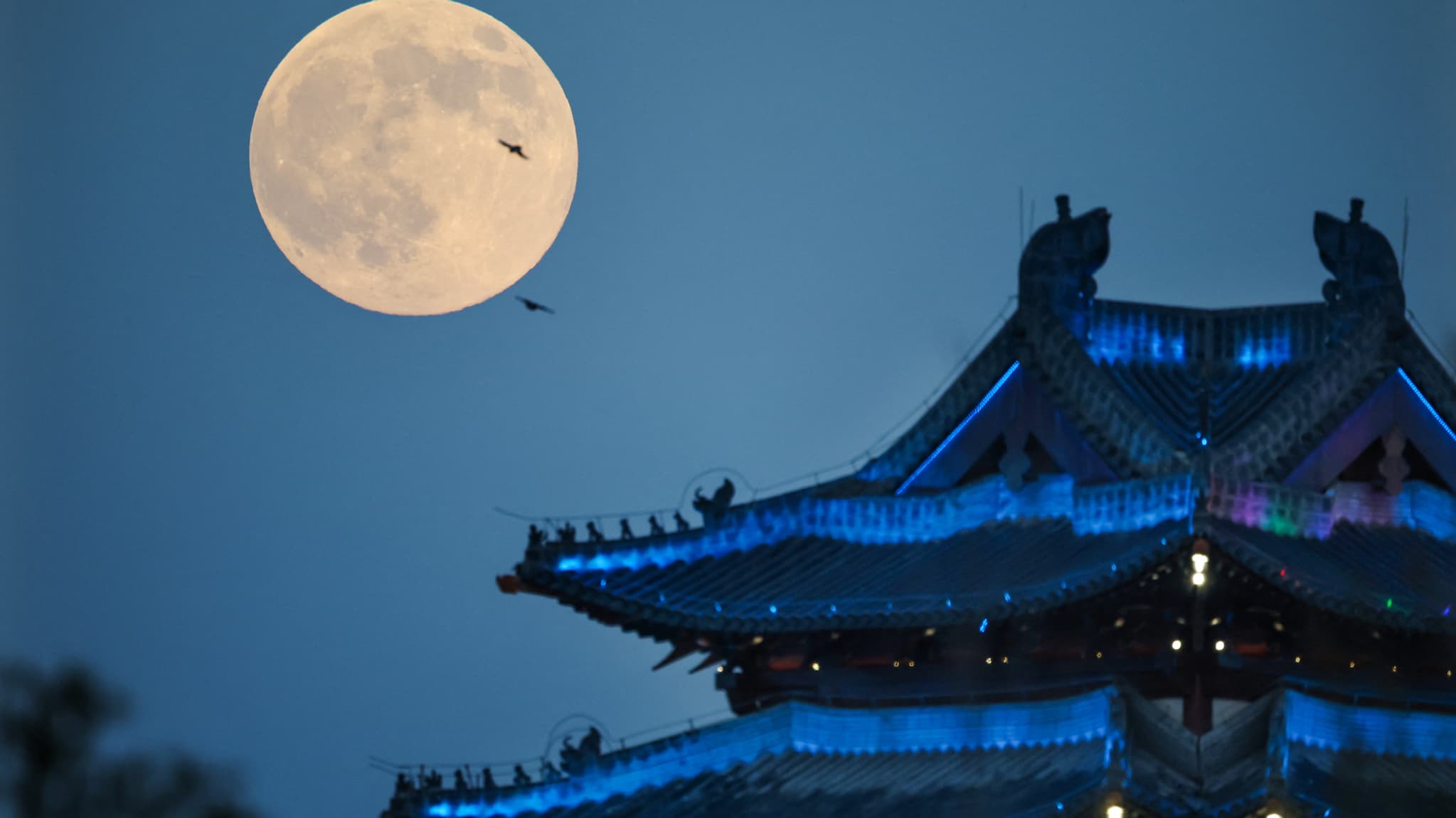 Суперлуние, сфотографированное в Ляньюньгане, провинция Цзянсу, Китай, 5 ноября 2025 года.