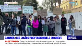 Cannes: les lycées professionnels en grève contre un projet de réforme