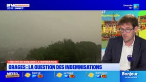 Infrastructures, indemnisations: Nicolas Mayer-Rossignol, réagit après l'épisode orageux