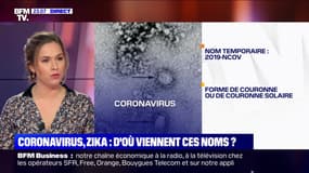 Coronavirus, Zika... D'où viennent les noms des virus ? - 28/01