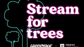Stream for trees se déroulera du 26 septembre au 2 octobre 2022.
