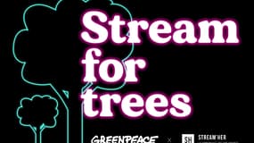 Stream for trees se déroulera du 26 septembre au 2 octobre 2022.