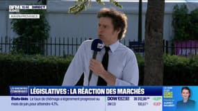 Législatives : les désaccords des économistes - 05/07