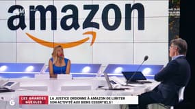 Le monde de Macron : La justice ordonne à Amazon de limiter son activité aux biens essentiels ! – 15/04