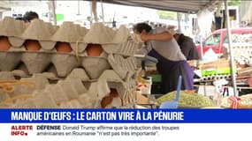 La filière "œufs" a du mal à suivre l'augmentation de la consommation par les Français