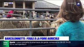 Barcelonnette: la foire agricole a attiré nombre de visiteurs pour son retour dans les rues
