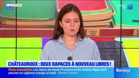 Bonjour DICI du lundi 1er septembre 2025