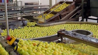 Le secteur de l'agroalimentaire pousse un cri d'alarme contre les taxes envisagées par l'Etat.