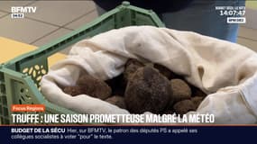 Focus Régions - 09/12