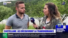 "Comprendre le métier d'éleveurs": un enseignant amène ses élèves à la fête de la transhumance