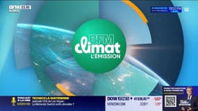 BFM Climat - Vendredi 10 janvier