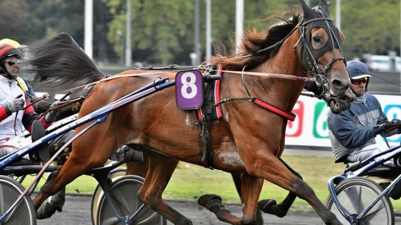 Cleangame a rendu victorieusement 50 mètres