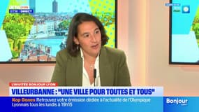Villeurbanne Gratte-Ciel: 880 nouveaux logements bientôt sortis de terre pour "doubler le centre-ville"