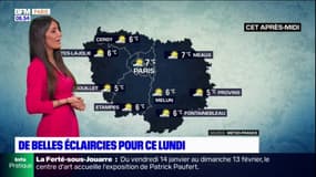 Météo Paris-Île de France: du brouillard dans la matinée avant l'arrivée d'éclaircies, un maximum de 7°C à Paris 