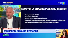Bouon Jour Marsiho: “Pescadou”, le mot de la semaine