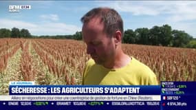 Good Morning Business - Mercredi 24 août 