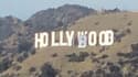 Hollywood devient "Hollyboob": six personnes arrêtées