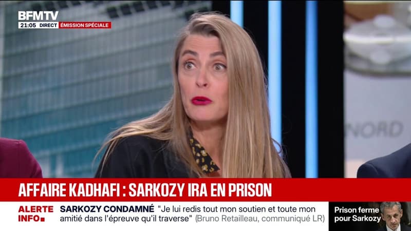 Condamnation de Nicolas Sarkozy: "C'est une victoire de la lutte contre la corruption", souligne...