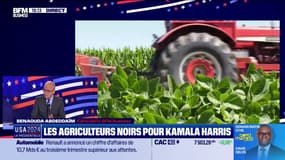 🇺🇸 USA2024 : la présidentielle