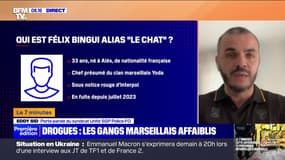 Drogues : les gangs marseillais affaiblis - 13/03