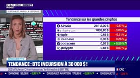 BFM Crypto: Une incursion du BTC à 30 000 dollars - 03/08