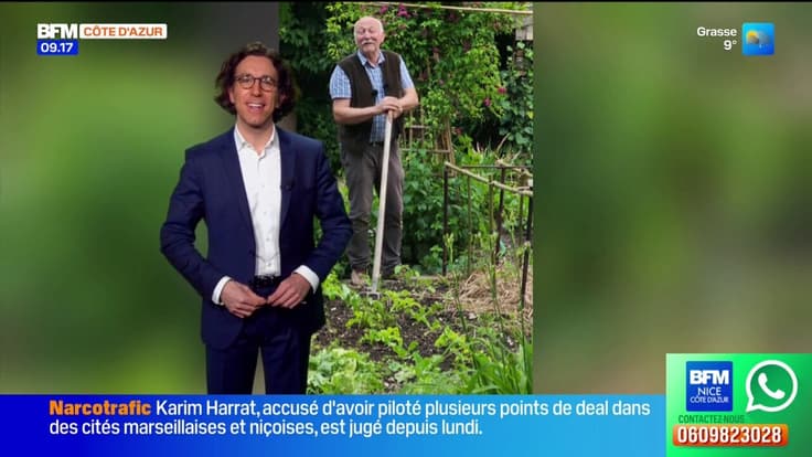 Un peu de cinéma, du jardinage et de la bonne humeur - La météo de Colas du mardi 27 janvier 2026